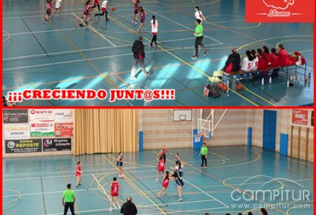 C.B. Campiña Sur de Llerena, resultados 